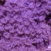 Essential Easy Frags - Image 4
