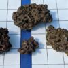 TRF Aquacultured Liverock - Image 4