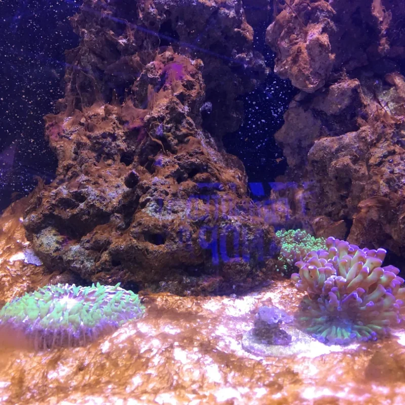 Virtual Personalized Advice